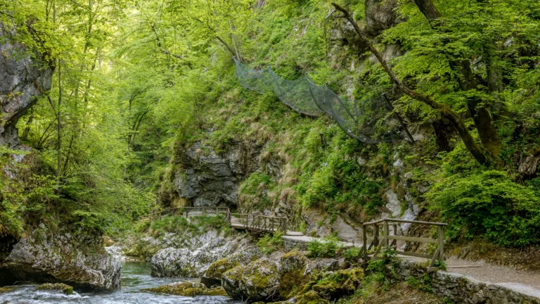 Feniks +, Feniks plus, višinska dela, dela na višini